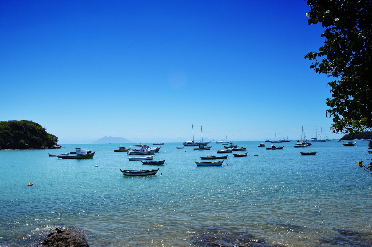 beach, shells, brazil-667974.jpg