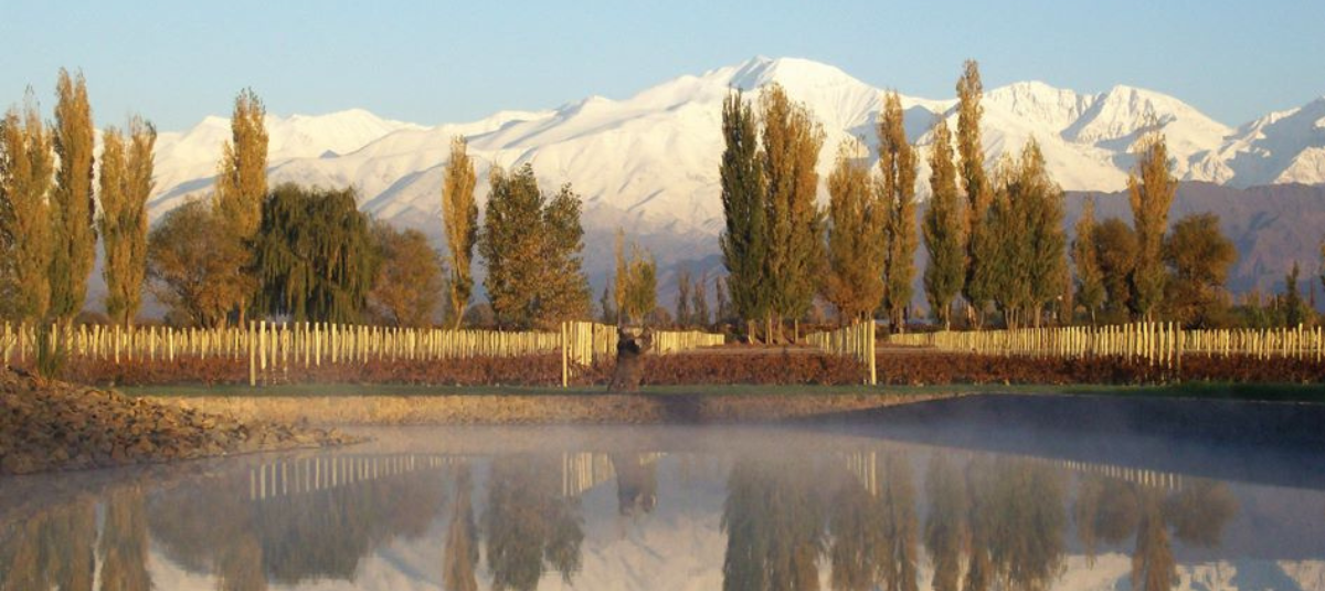 Diseño sin título (3)