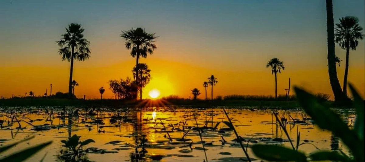 Diseño sin título (3)