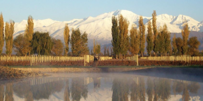 Diseño sin título (3)