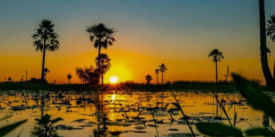 Diseño sin título (3)